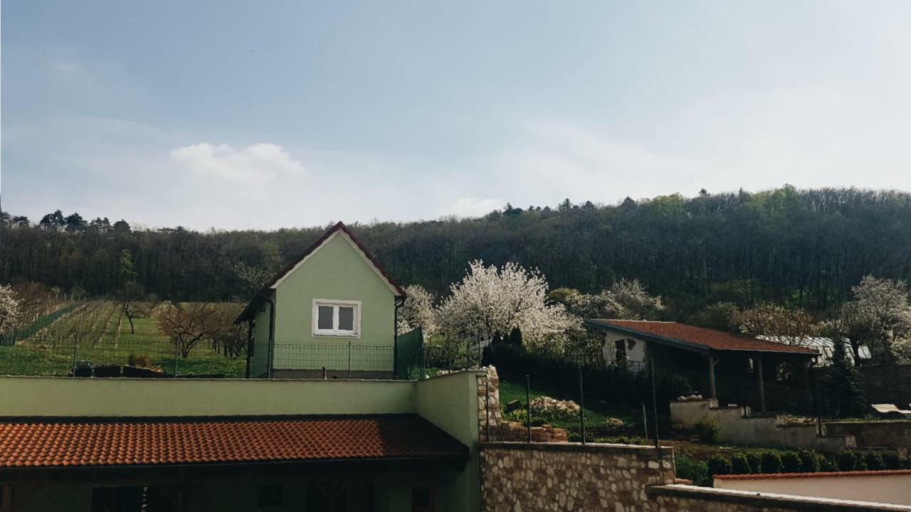 Pod Vinici Hotel Микулов Екстериор снимка